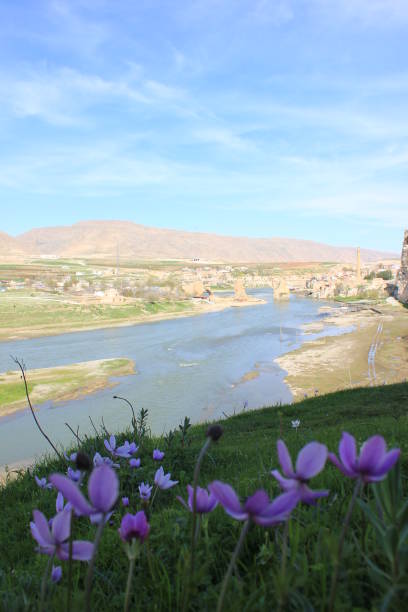 voyage dans la ville historique hasankeyf. batman - hasankeyf photos et images de collection