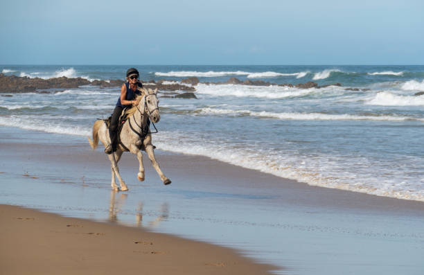 istock Woman gallops a horse on the beach 1139449337