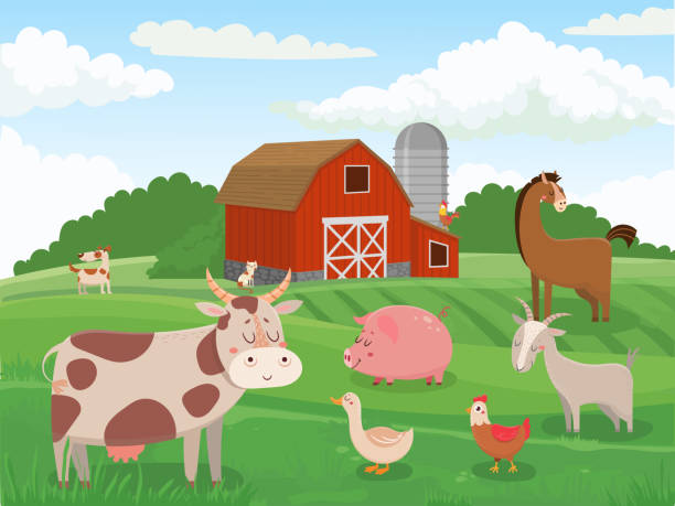 Farm animals. Village animal farms, cows red barn and cattle field landscape cartoon vector illustration Farm animals. Village animal farms, cows red barn and cattle field landscape. Breed got, cow and horse or domestic chicken. Livestock character cartoon vector illustration red barn house stock illustrations