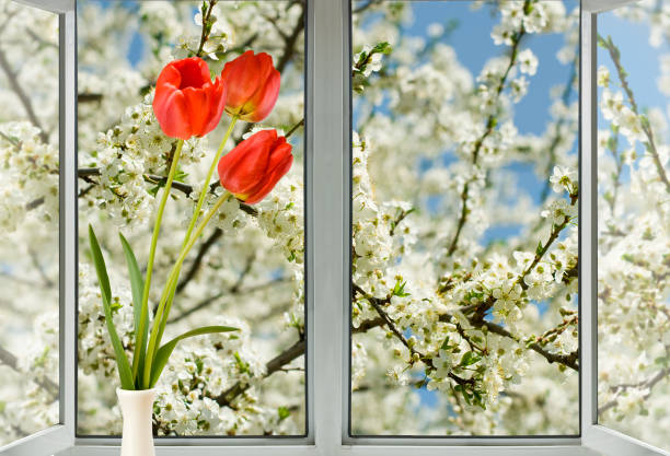 istock flowers in vase on open window background close-up 1139450618