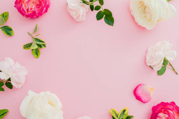 istock Floral frame with roses flowers on pink background. Flat lay, top view. 1139453925