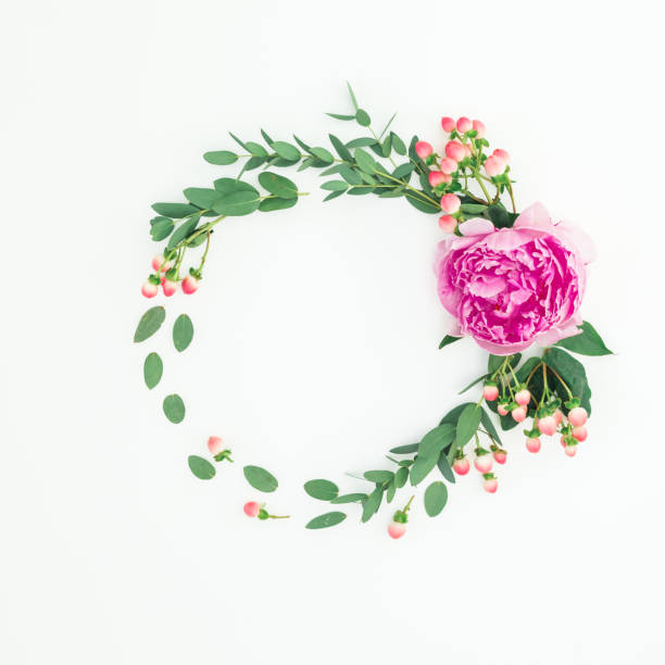 istock Floral round frame with pink peony flowers, hypericum and eucalyptus on white background. Flat lay, top view 1139453997