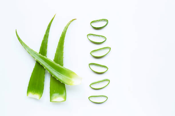 istock Aloe vera leaves with slices on white 1139457810