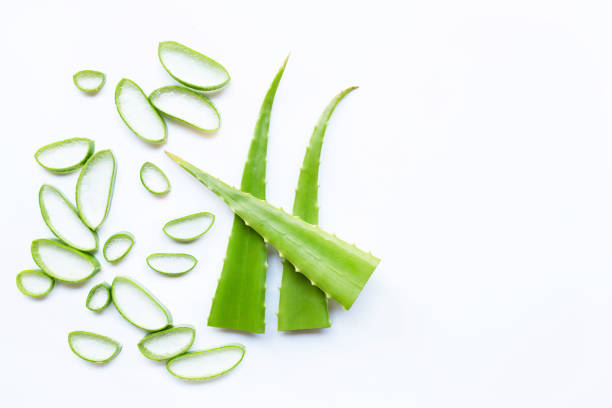 istock Aloe vera leaves with slices on white background. 1139457817