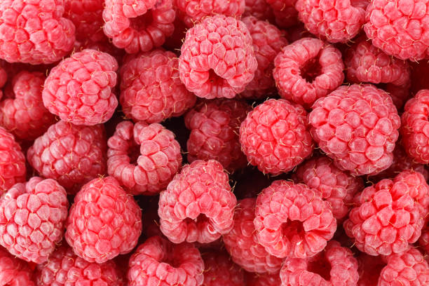 istock A bunch of fresh raspberries as a background. 1139458080