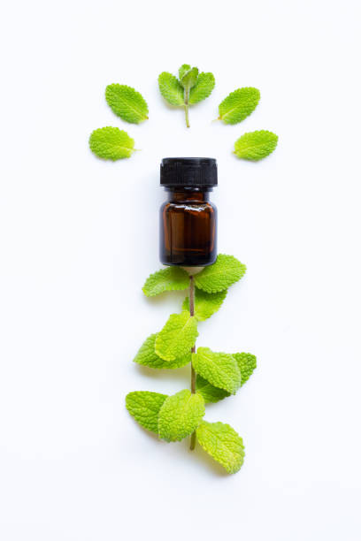 istock Essential oil with fresh apple mint leaves on white 1139458894