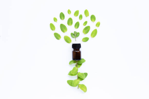 istock Essential oil with fresh apple mint leaves on white 1139458916