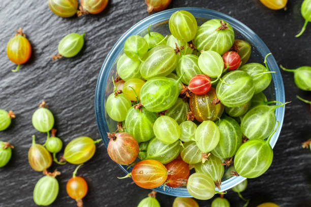istock Ripe multicolored gooseberries in a plate on the table. summer harvest. 1139458918