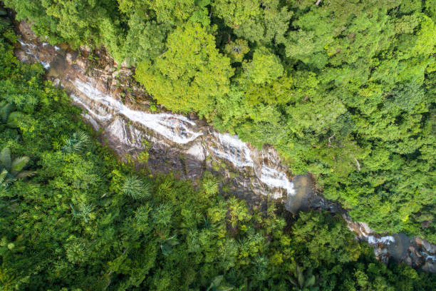 aerial view of green summer sunlight tropical wild nature forest and waterfall mountain south asia - stream forest river waterfall imagens e fotografias de stock