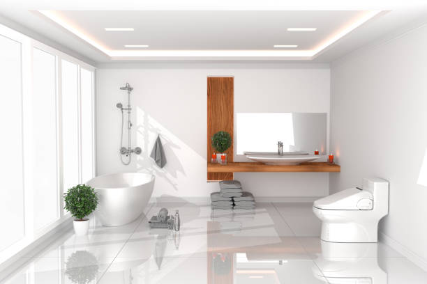 Bath room Interior - white empty room concept - modern style, bathroom, new room modern design. 3D rendering Bath room Interior - white empty room concept - modern style, bathroom, new room modern design. 3D rendering japanese toilet stock pictures, royalty-free photos & images
