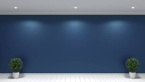 Plants in white floor on dark wall background empty room interior
