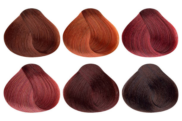 ensemble de serrures de six différents échantillons de couleur de cheveux rouges, forme arrondie, isolé sur le fond blanc, chemin de découpage inclus - human hair curled up hair extension isolated photos et images de collection