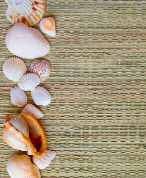istock Background (texture) a beige rug from straw with sea cockleshells 1139464570