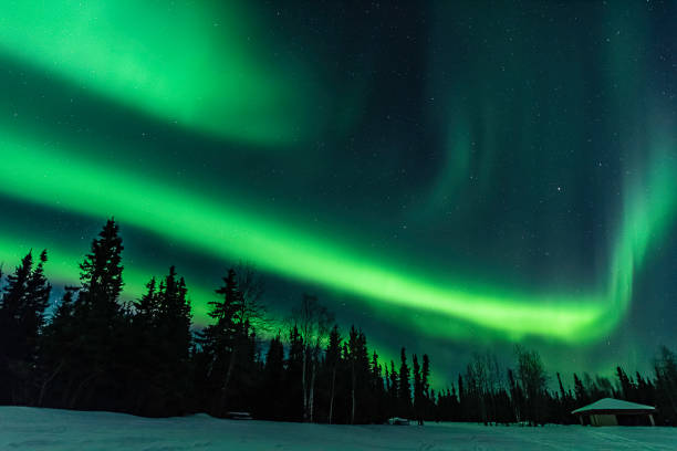 aurora boreale ai laghi chena a fairbanks - fairbanks foto e immagini stock