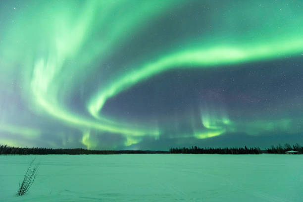 istock Aurora borealis at Chena Lakes in Alaska 1139468072