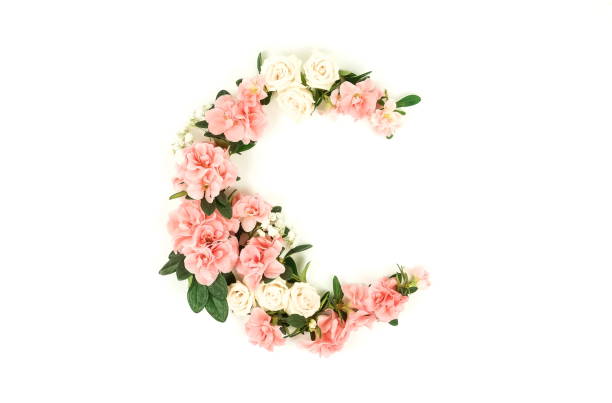 istock Wreath Flowers composition background . Pink flowers azalea pattern frame on white background. Top view. Copy space. Holiday concept 1139468131
