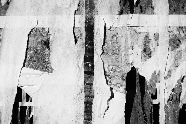 istock Blank white old ripped torn paper crumpled creased posters grunge textures backdrop backgrounds surface placard 1139468958