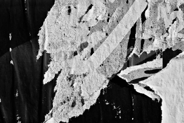 istock Blank white old ripped torn paper crumpled creased posters grunge textures backdrop backgrounds surface placard 1139469062