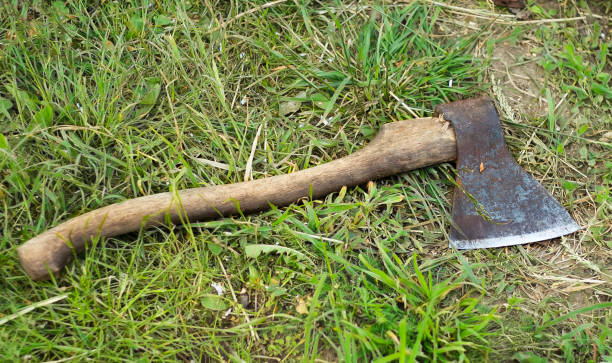 緑の草の上に横たわっている鋭い古い斧 - agricultural occupation antique old fashioned axe ストックフォトと画像