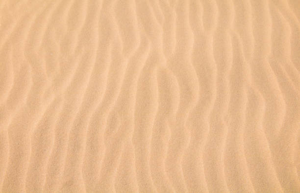istock Nature Summer Background of wave sand 1139473114