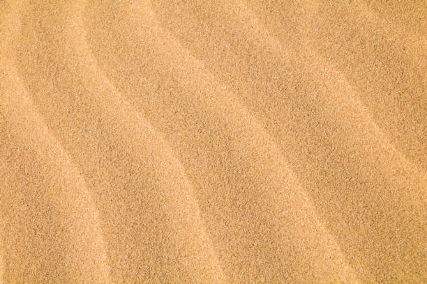 istock Abstract pattern of Rippled sand on sea coast 1139473220