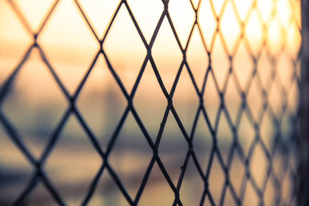 istock wire fence sunset at sunset 1139473823