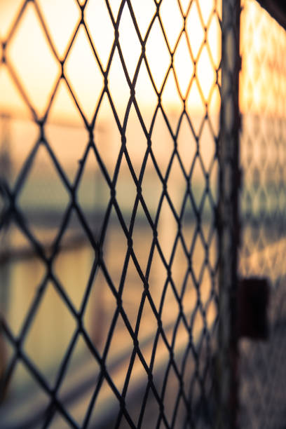 istock wire fence sunset at sunset 1139473964