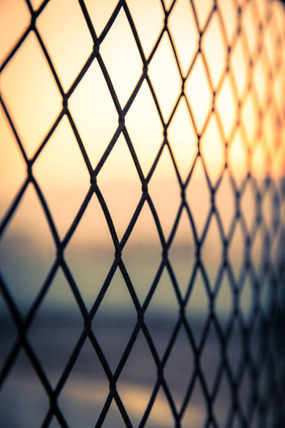 istock Steel wire mesh fence 1139474208