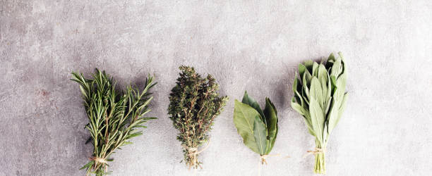 istock Homegrown and aromatic herbs on rustic background with rosemary and basil 1139480602