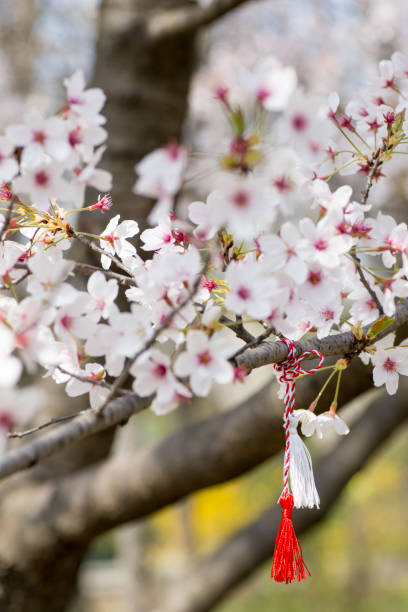 istock red and white string know as martisor romanian eastern european first of march tradition hanging on a blossom cherry branch 1139480623