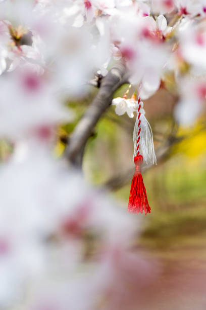 istock red and white string know as martisor romanian eastern european first of march tradition hanging on a blossom cherry branch 1139480624