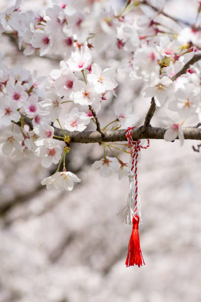istock red and white string know as martisor romanian eastern european first of march tradition hanging on a blossom cherry branch 1139480628