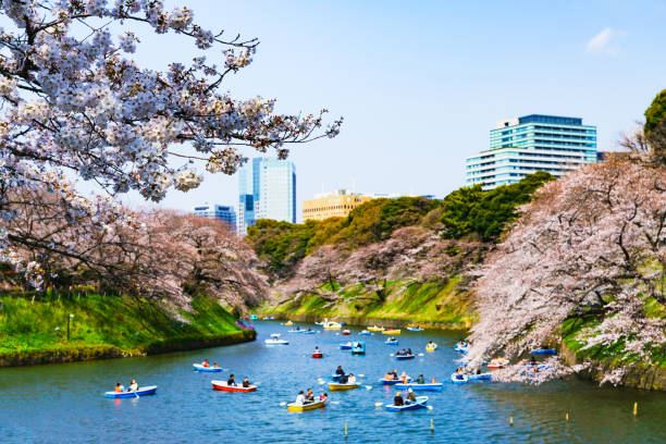 istock Spring Tokyo in Japan 1139490435