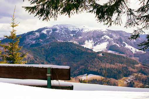 Snowy bench at the viewpoint with pine trees. View on Belchen mountain peak in Black Forest, Germany. Schwarzwald, wooded hills in early sprig. Landscape in german mountains with snow.