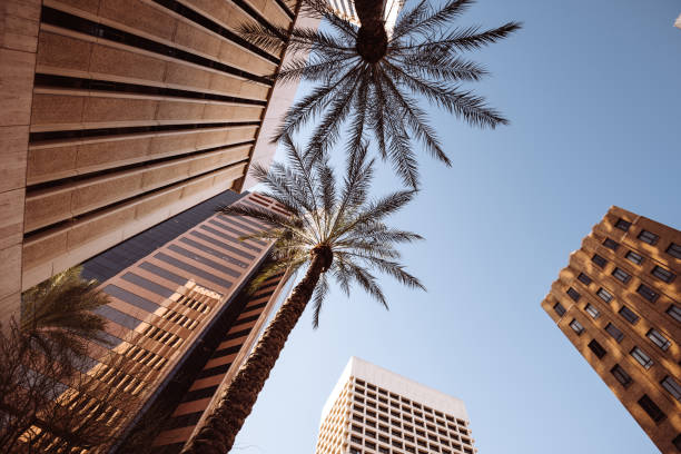 vista ad angolo basso del centro di phoenix - los angeles county city of los angeles palm tree travel destinations foto e immagini stock