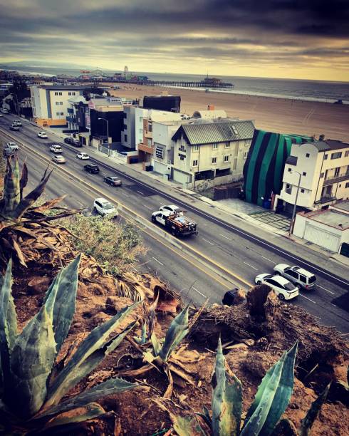 vista na estrada pacífica da costa do parque de palisade, santa monica, eua - santa monica california route 1 pacific coast highway - fotografias e filmes do acervo