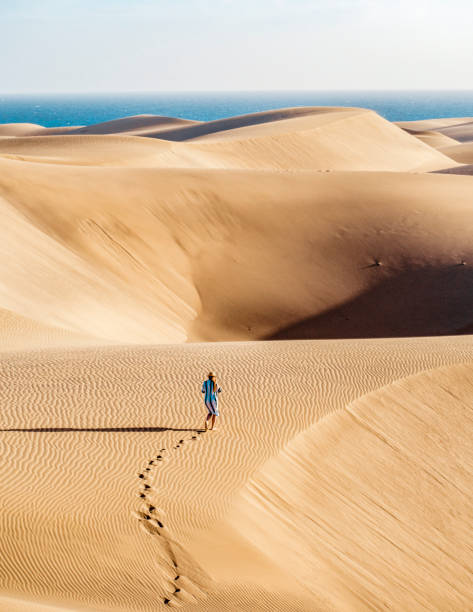 Lost deep in the sand dunes in Sahara desert Lonely traveler, travel blogger walking alone in the Sahara desert, hot temperatures, desert life. desert oasis photos stock pictures, royalty-free photos & images