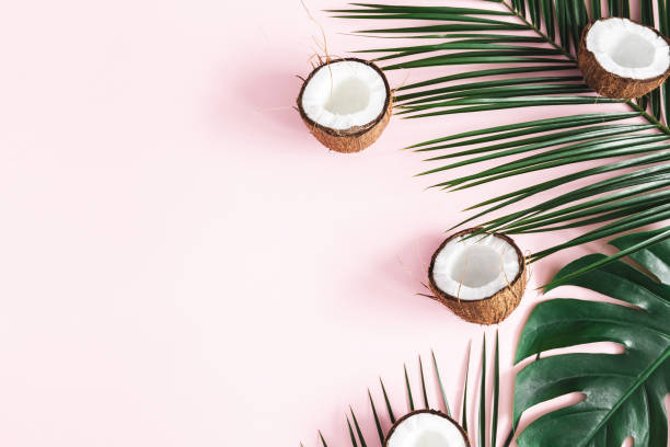 istock Summer composition. Tropical palm leaves, coconut onpastel pink background. Summer concept. Flat lay, top view, copy space 1139503480