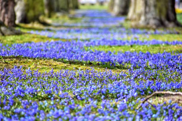 istock blue alley in gdynia 1139503512