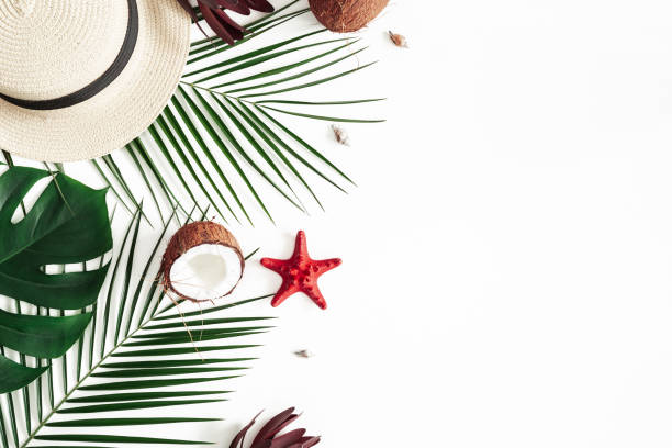 istock Summer composition. Tropical palm leaves, hat, coconut on white background. Summer concept. Flat lay, top view, copy space 1139503575