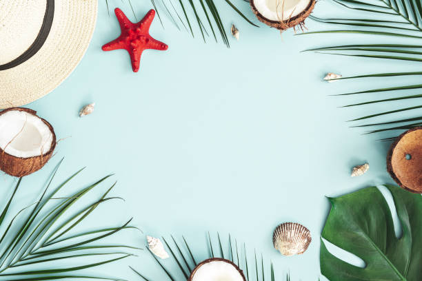 Summer composition. Tropical palm leaves, hat, coconut on pastel blue background. Summer concept. Flat lay, top view, copy space