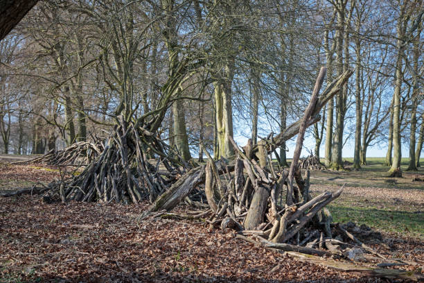 istock Childrens hut in open forest 1139503808