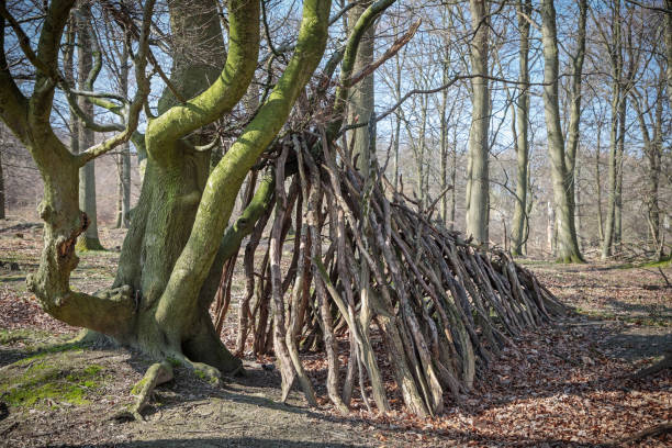 istock Childrens hut in open forest 1139503823