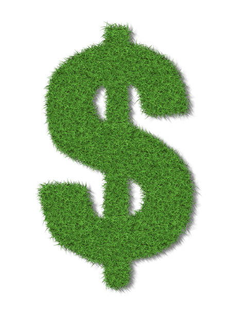 istock A dollar sign in lush green grass on a white background 1139506353