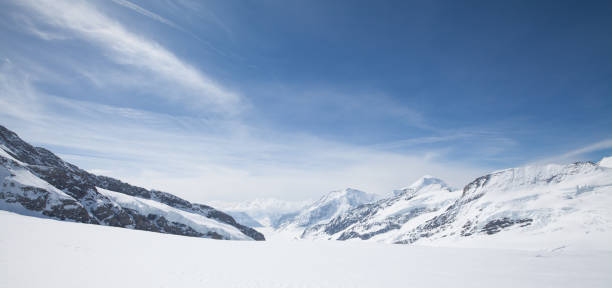 jungfraujoch top - glacier aletsch glacier switzerland european alps stock-fotos und bilder