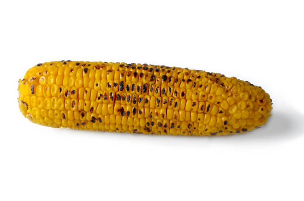 istock Organic roasted sweet corn on the cob on white background 1139510398