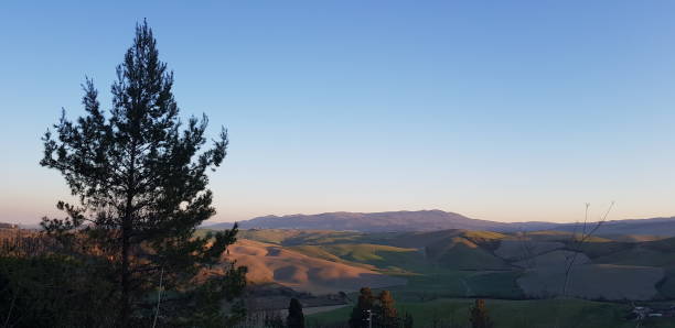 istock Panoramic view of Tuscany from Terricciola 1139511620