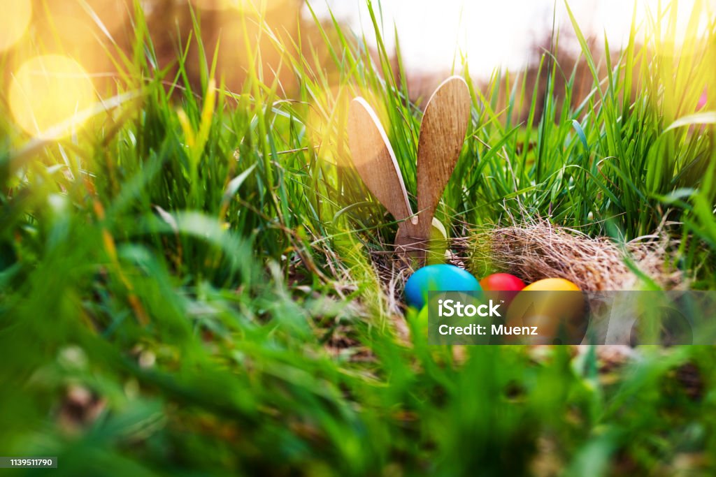 Ostereier in einer Frühlingswiese - Lizenzfrei Ostern Stock-Foto