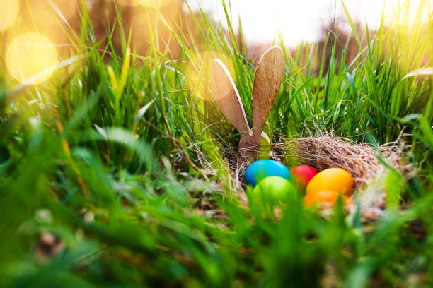 Easter eggs in a spring meadow Colorful easter eggs in a spring meadow with sunny bokeh animal nest photos stock pictures, royalty-free photos & images
