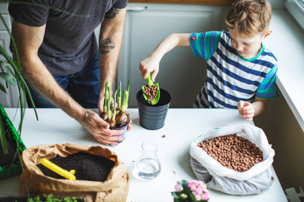 istock Father and son planting at home 1139512966